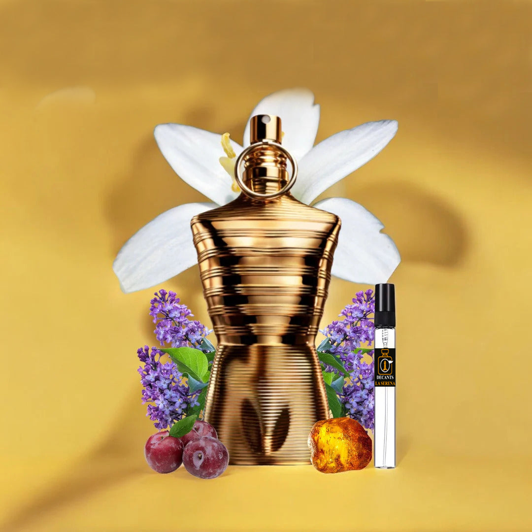 LE MALE ELIXIR ABSOLU JPG